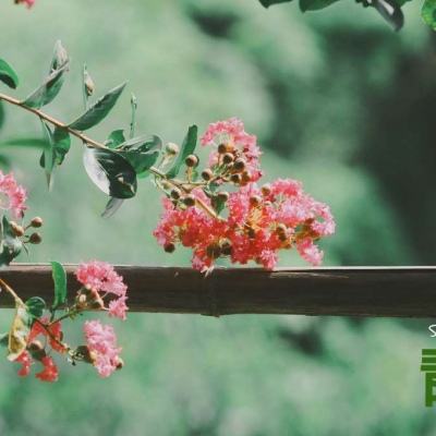 雷竞技app官方版下载