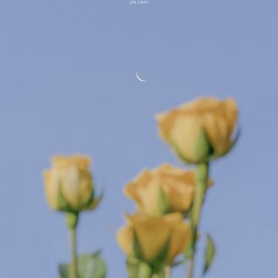 双赢彩票官方网站